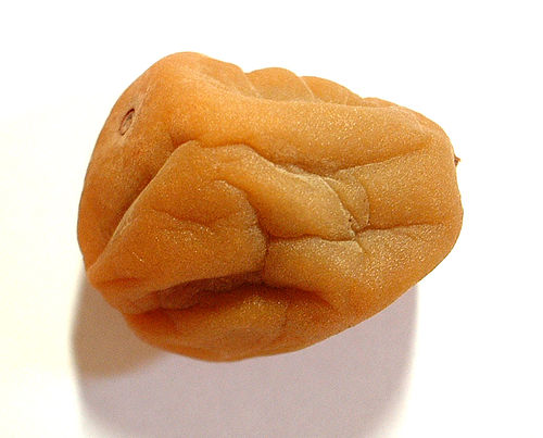 Apricot Balls