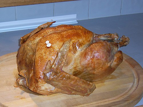 Cooking a Turkey