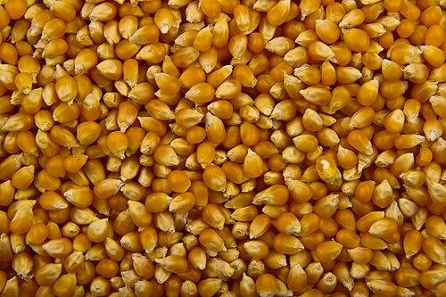 Popcorn Balls